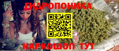 шишки Северобайкальск