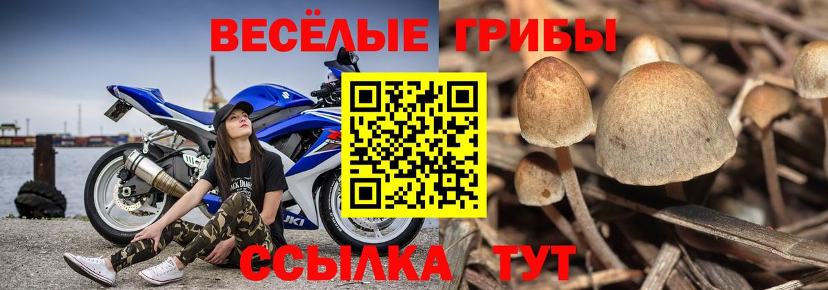 Псилоцибиновые грибы Magic Shrooms  Вход с VPN  Скопин  Галлюциногенные грибы Cubensis 